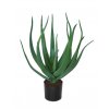 Aloe Vera w pot 60 cm Green 5429GRN