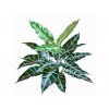 Umelá rastlina Taro Bush (45cm)
