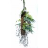 Hanging Fern Stratus 50 cm Green 5509004