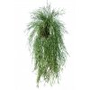 Hanging Euphorbia 120 cm Green 5599001