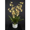 Orchid Dancing Fiber Pot 70 cm Yellow 5681YEL