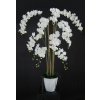 Orchid Phalaenopsis Fiber Pot 160 cm White 5683WHT