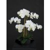 Orchid Phalaenopsis Foam Base 70 cm White 5684WHT