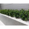 Umelá rastlina Boxwood Bush (60cm) - UV  buxus