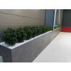 Umelá rastlina Boxwood Bush (60cm) - UV  buxus