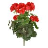 Geranium boeket 38 uv rood 444103UVRD 1