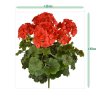 Geranium XL 40 rood 444104UVRD 6