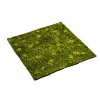 Mach umelý Moss Base X (100x100cm)