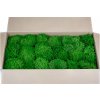preserved lichen ball moss 26c