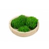preserved lichen ball moss 26a