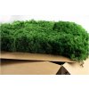 preserved lichenreindeer moss 25e