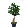 ficus elastica plant 150 cm green 5426003