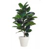 ficus elastica plant 120 cm green 5426002