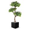 ginkgo bonsai kunstboom 150 cm 154315 5