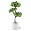 ginkgo bonsai kunstboom 150 cm 154315 4