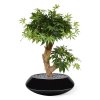 acer kunst bonsaiboom 60 cm groen 153206 3 1