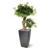 acer kunst bonsaiboom 60 cm groen 153206 5 1