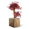 acer kunst bonsaiboom 60 cm burgundy 153306 4