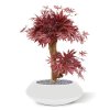 acer kunst bonsaiboom 60 cm burgundy 153306 3