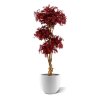 acer bonsai deluxe kunstboom 170 cm burgundy 153318 3