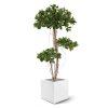panda bonsai kunstboom 140 cm 108114 5