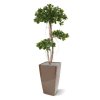 panda bonsai kunstboom 140 cm 108114 4