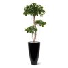 panda bonsai kunstboom 140 cm 108114 2