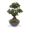 108007 panda bonsai 70 in luxe schaal 1