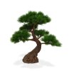 151807 pinus bonsai deluxe 80 op voet