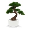 151807 pinus bonsai deluxe 80 op voet martinique 45 shiny white
