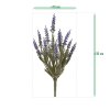 AnyConv.com 407803UVBL Lavendel 35 blauw 6 1