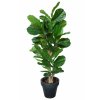 Ficus Lyrata Wild Tree 180 cm Green V1100002