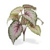 408702 bladbegonia boeket 25 1