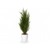 Umelá rastlina Cyprus Thuja (50cm) -v kvetináči