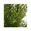 Umelá rastlina Cyprus Thuja (50cm) -v kvetináči