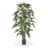 152514 philodendron xanadu deluxe 140