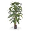 152514 philodendron xanadu deluxe 140 maat 80