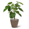 pothos deluxe kunstplant 90 cm 131109 3