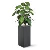 syngonium deluxe kunstplant 85 cm 151285 4