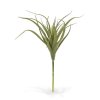 404202 tillandsia steker 20 cm 3