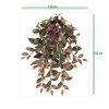 205306 Tradescantia 60 groen rood size 1