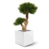 pinus bonsai kunstboom 55 cm op voet 151805 5 1