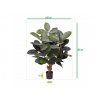 Umelý strom Ficus Elastica Robusta (95cm)