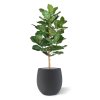 lyrata royal kunstplant 90 cm 102609 3