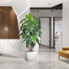 philodendron deluxe kunstboom 170 cm 152317 8