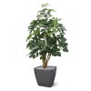 schefflera exotica 120 cm kunstplant 130312 5 1