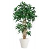 Umělý strom Mango Malabar (výška 220cm)