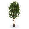 AnyConv.com 109617 longifolia royal deluxe 165 pp 4