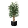 AnyConv.com raphis kunstpalm deluxe 160 cm 184016 5 4