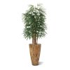 AnyConv.com raphis kunstpalm deluxe 160 cm 184016 2 4